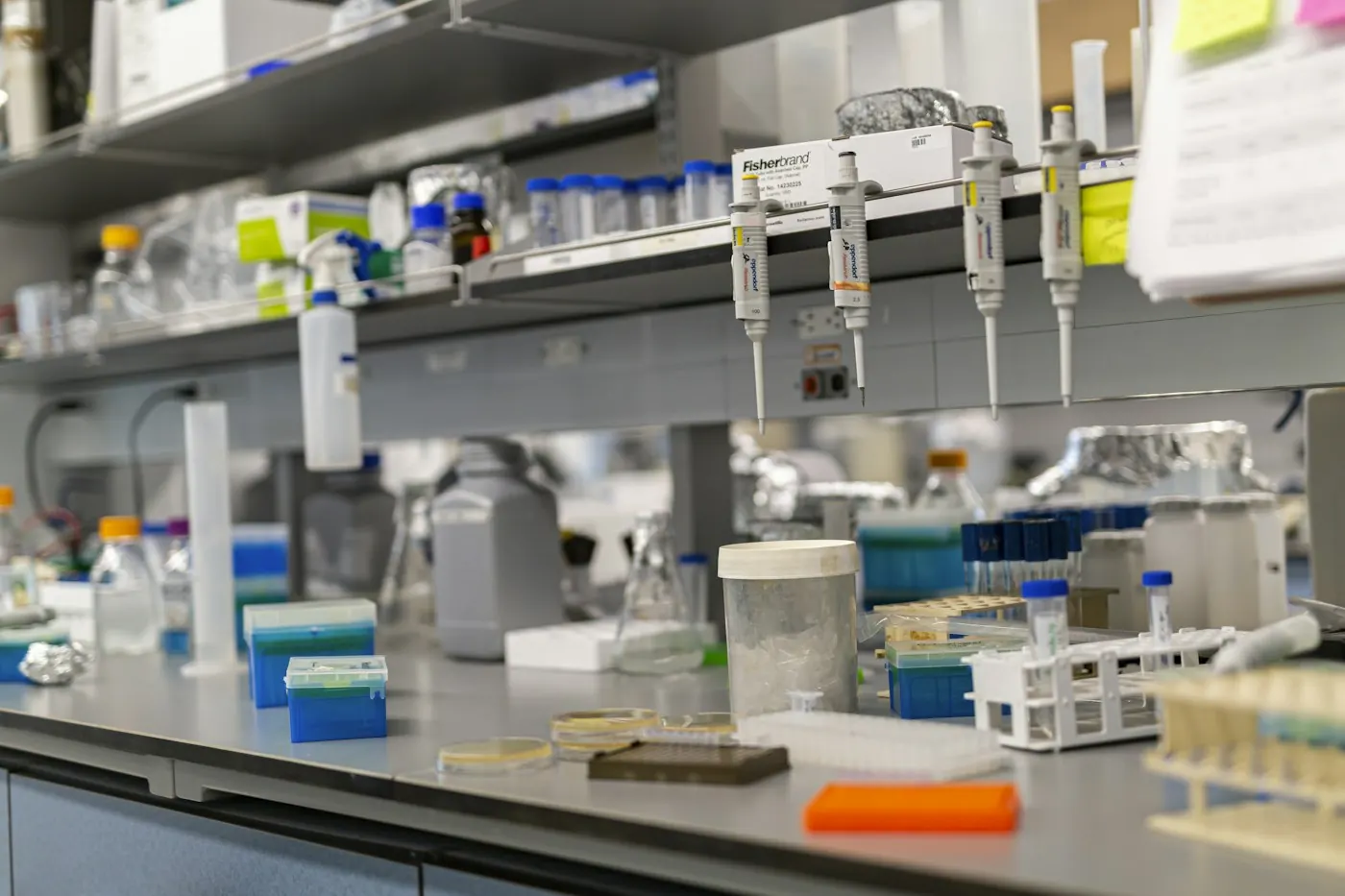 Laboratory bench with glassware, pipettes and reagents